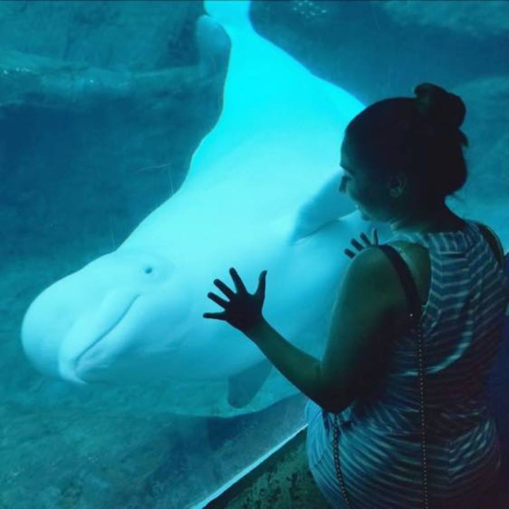 Meet your Posher, Shraddha